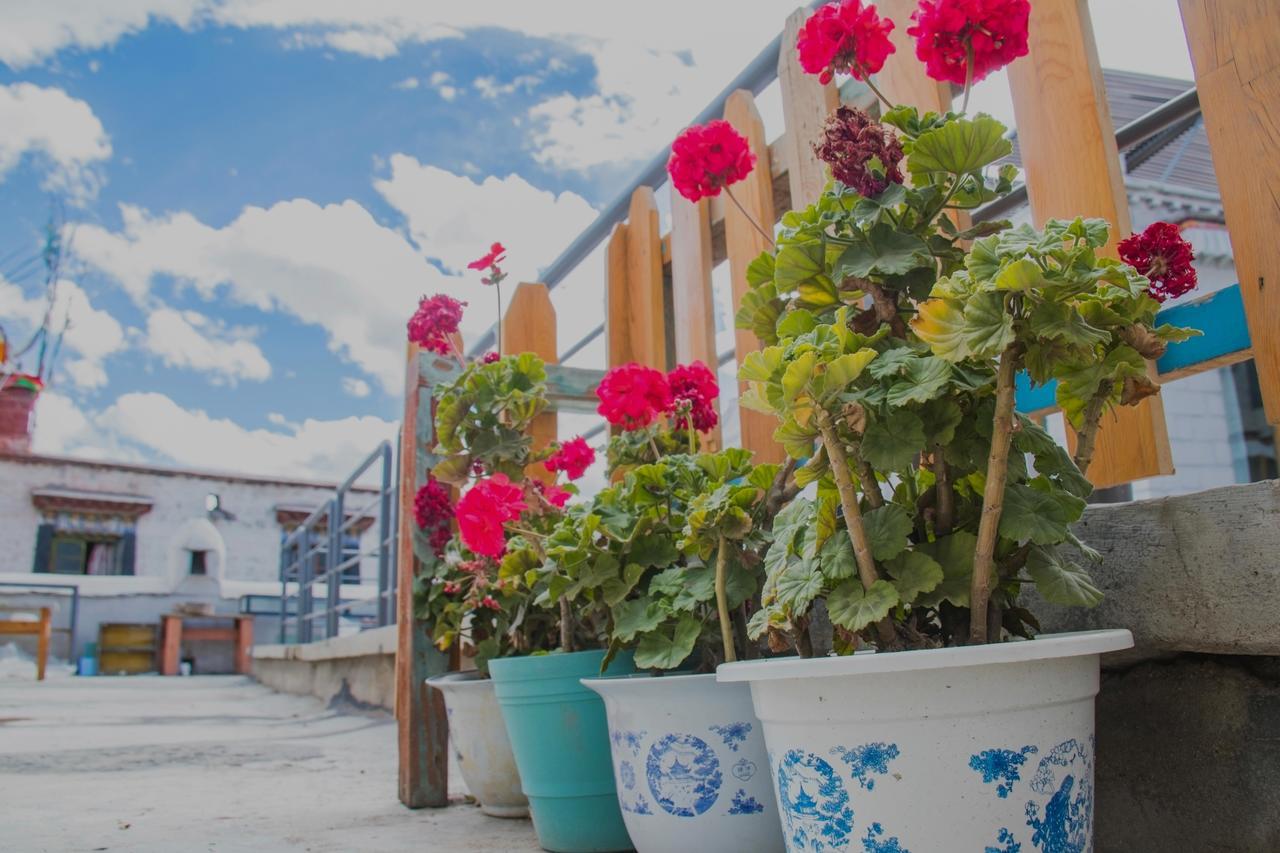 Fengma Feiyang Hostel Lhasa Eksteriør billede